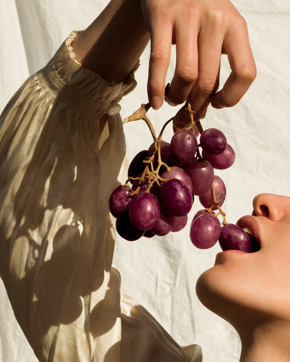 🍇Fructele vedetă ale toamnei, STRUGURII